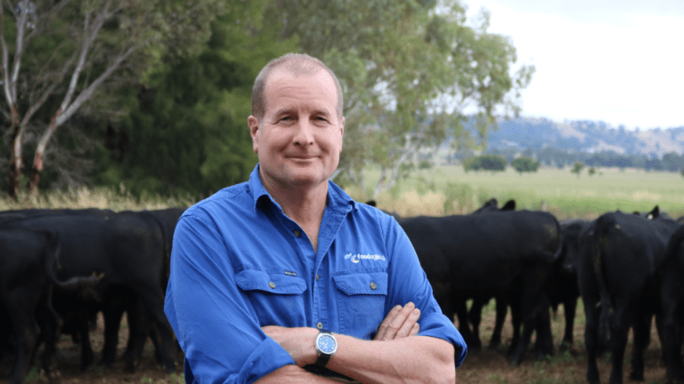 Professor David Lamb in front of angus cattle